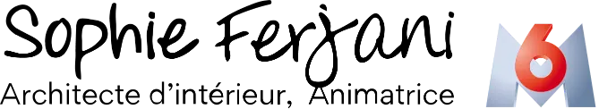 Sophie Ferjani, Architecte d'intérieur, animatrice, M6