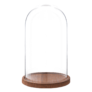 Cloche en verre et bois – Nature et découvertes 
