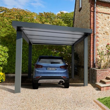 Carport 1 voiture