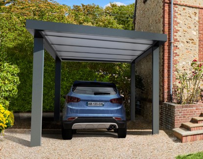 Carport 1 voiture